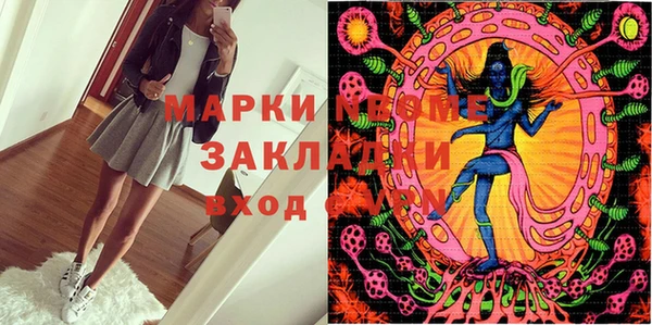 прущие грибы Беломорск