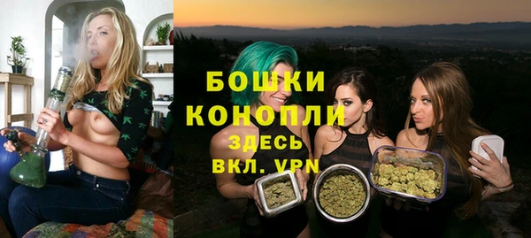 дживик Сосновоборск