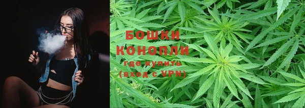 прущие грибы Беломорск